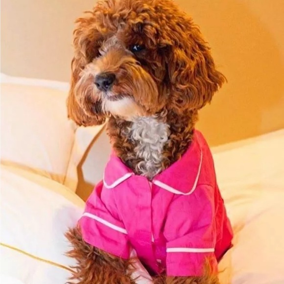fabdog Other - Poplin Pink Dog Pajamas